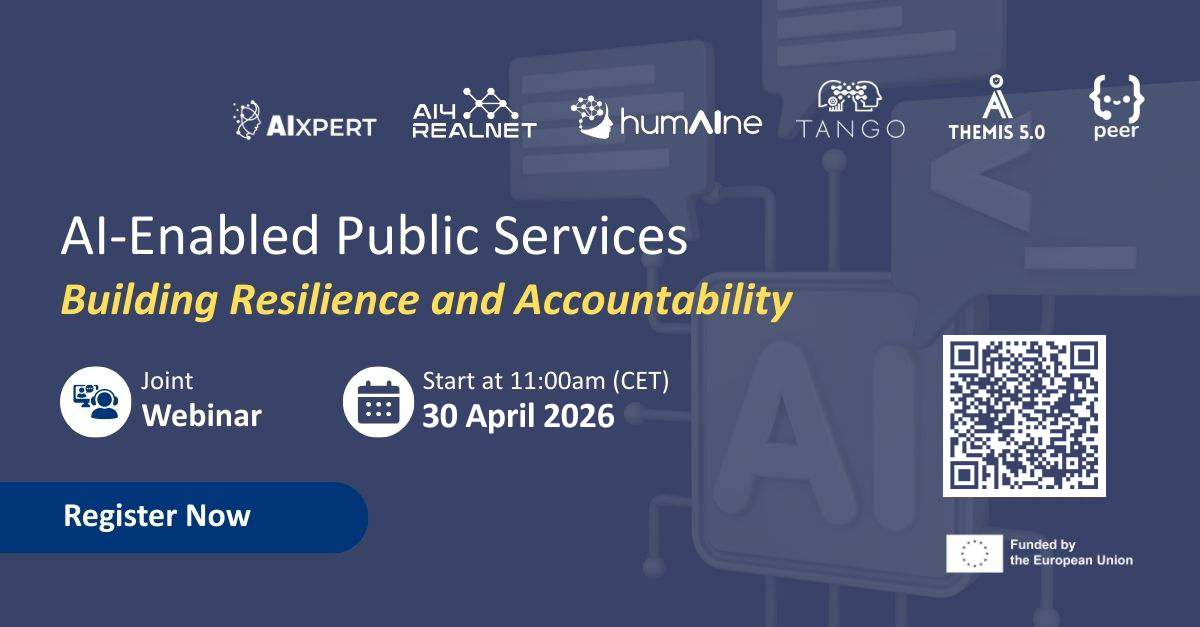 AI-Enabled Public Services - Building Resilience and Accountability
