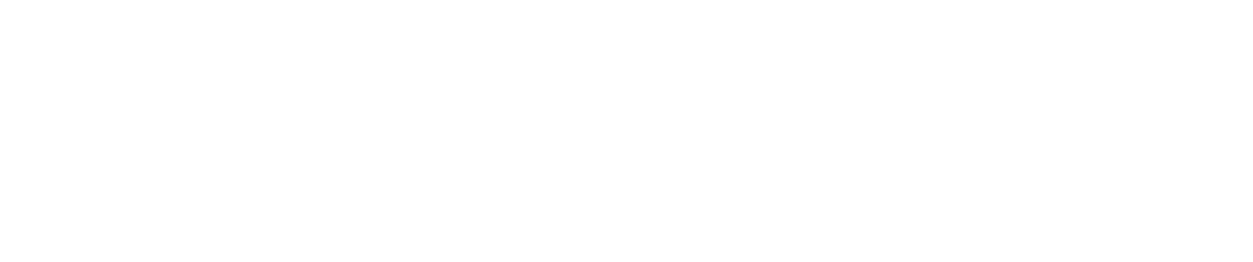 EU Flag